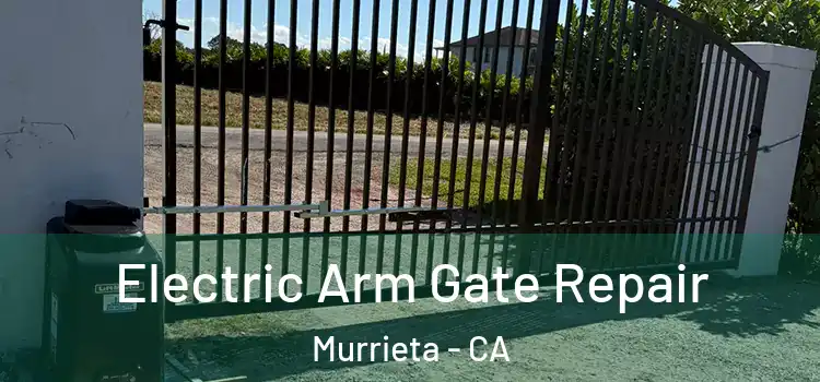 Electric Arm Gate Repair Murrieta - CA